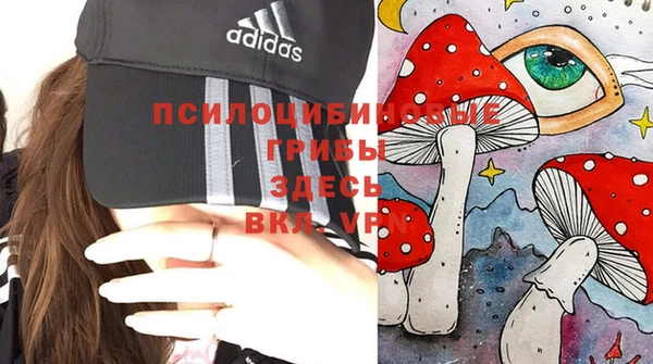 прущие крисы Алзамай