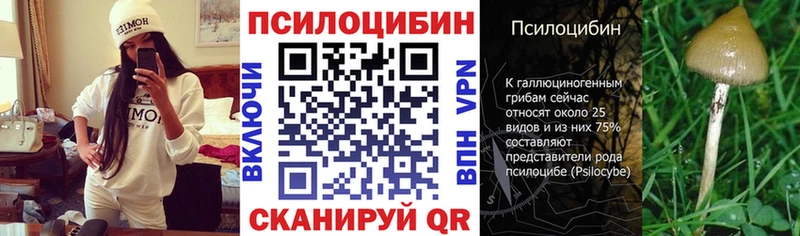 купить  сайты  Темрюк  Псилоцибиновые грибы мухоморы 